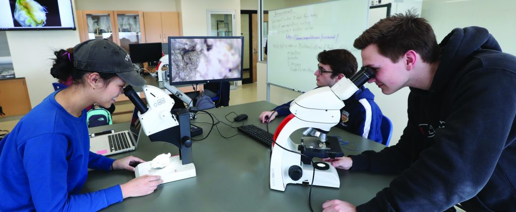 Students use new high-definition microscopes.